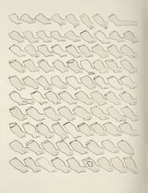 Pagina 031