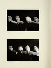 Pagina 045
