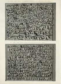 Pagina 087