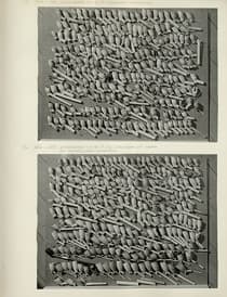 Pagina 090